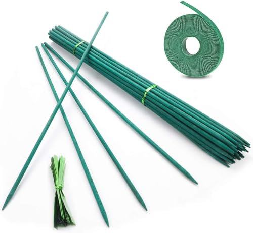Supporti per piante, 50 pezzi, in bambù, 30 cm, per piante, in bambù, con 50 nastri metallici, per la casa, il giardino, la pianta rampicante