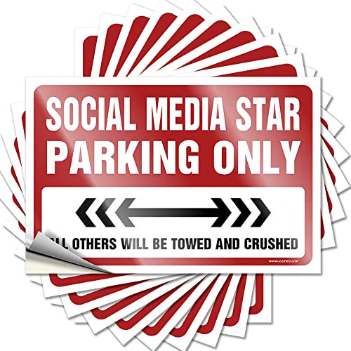 Lustige Autoaufkleber für Erwachsene, Social Media, Sternenparkplatz, 10 Stück, Auto-Aufkleber, Hardhat-Sticker und Aufkleber (6 x 9 cm)