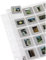 Hama 12 Diahüllen für gerahmte Dias (Dia-Archivierung im Format 5x5cm, bis zu 240 Dias) transparent