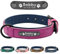 Didog Hundehalsband, weiches, gepolstertes, Leder, mit personalisierbarem, graviertem Namensschild, D-Ring. Für kleine und mittelgroße Hunde geeignet.