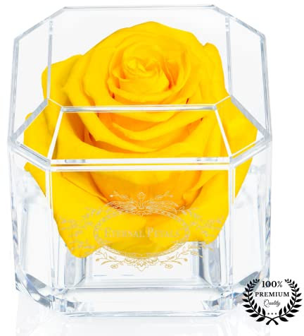 Eternal Petals Solo - A Real Rose That Lasts A Year - Perfect Unique Gift for Women, Men, Birthday Gift (Yellow)