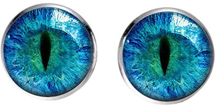 Coole Drachenaugen-Ohrstecker, Grün, Blau, Lila, Rot, Sauron-Augen, Kunst, Foto, Glas, Cabochon, Zeit Edelstein, Ohrringe für Damen und Herren, Geschenke
