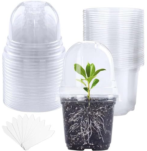 MAYFABD 10pcs Pots de Culture Transparents 3.5inch Pot a Orchidée Pot Fleurs Plastique avec Dôme et Couvercles Petit Récipient de Pépinière Souple pour Plantes Grasses Graines Semis,3.5inch