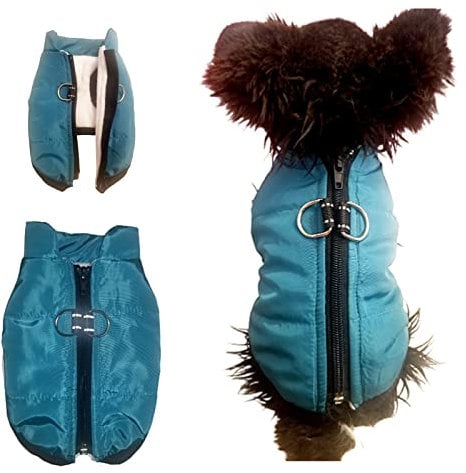 Waterproof XXS Dog Coat Padded Fleece Zip Up Coat Chihuahua Puppy Tiny Toy Clothes Teacup Miniature Tiny Breeds (Teal, XXS)