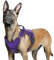 rabbitgoo Hundegeschirr Grosse Hunde, Anti Zug Geschirr Hund Verstellbar mit Griffe Verbreitert, Robust und Verschleißfest, Taktisches Hundegeschirr mit Metallschnallen zum Wandern(L, Lila)
