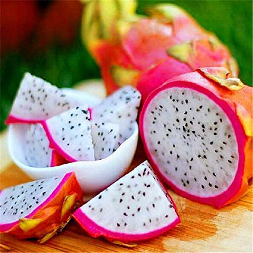 SANWOOD Semillas de Pitaya Semillas de Frutas para Plantación de Jardín Casero, 500 Uds. Semillas de Pitaya Semillas Perennials para el Hogar Semillas para Jardín - Blanco
