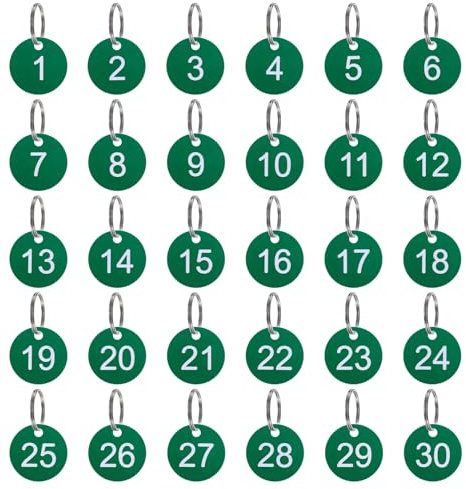 QUARKZMAN Nummernschlüsselanhänger 1-30, 30 Stück 35mm runde Nummernanhänger aus Kunststoff mit Schlüsselringen für Schlüssel, Spinde, grün