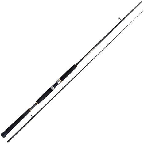 Shimano Angelrute Beastmaster AX Pilk