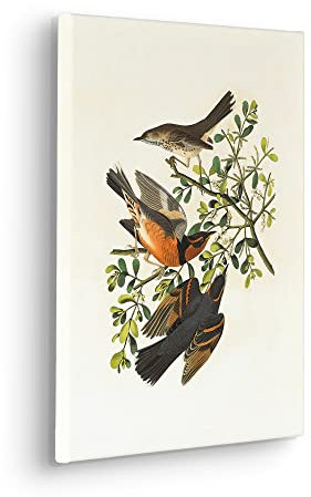Komar Keilrahmenbild im Echtholzrahmen - Heidi - Größe 30 x 40 cm - Wandbild, Kunstdruck, Wanddekoration, Design, Wohnzimmer, Schlafzimmer