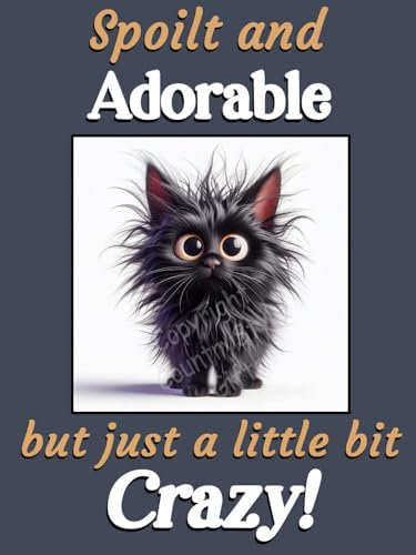 Black Cat Kitten funny flexible fridge magnet gift