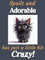 Black Cat Kitten funny flexible fridge magnet gift