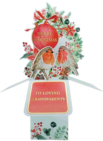 Clever Cubes Pop Up Grandparents Robins Merry Christmas Card 3D Xmas Card XCU004B