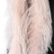 Federboa,Flauschige Strauß Federn Schal Länge ca. 2m,Federgirlande,Federschal Einfarbig Straußenfeder Schal,Feder Boa Kostüm-Accessoire für Charleston 20er Jahre Flapper Karneval,Champagner