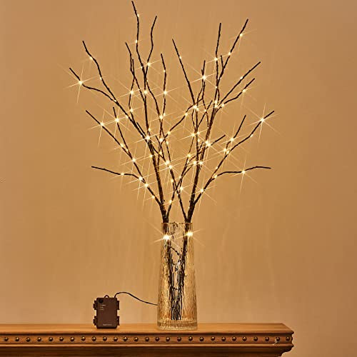 Birchlitland Brown Willow Branch Lights, 32IN 100 LED, Timer Battery Operated, Indoor/Outdoor, Christmas & Year-Round Decoration