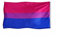 Costumizate! Bandera para el día del Orgullo (150 cm x 90 cm). Varios modelos diferentes. Bandera Arcoiris, bandera Arcoiris LGTB, bandera Bisexual y bandera Transgénero. (Bisexual)