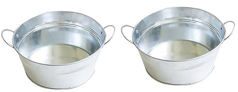 SEWOART Lot De 2 Pots De Fleurs Argentés en Fer Style Vintage pour Le Jardinage