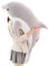 Delfin Kuscheltier Kugelfisch Plüschtier, Pummeliges Kugelfisch aus Plüsch,Weiches Kugelfisch plüsch für Sofa, zum Spielen und Kuscheln für Mädchen und Jungen (30 cm,Grau)