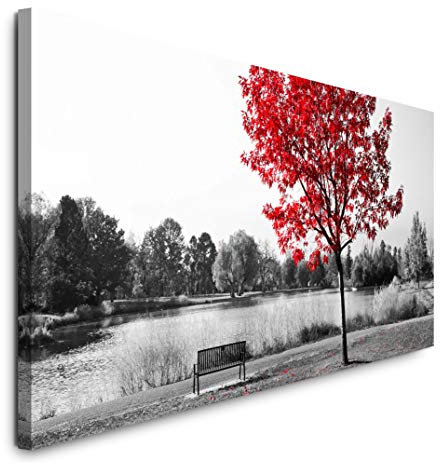 Paul Sinus Art GmbH Parkbank unter einem Baum 120x 50cm Panorama Leinwand Bild XXL Format Wandbilder Wohnzimmer Wohnung Deko Kunstdrucke