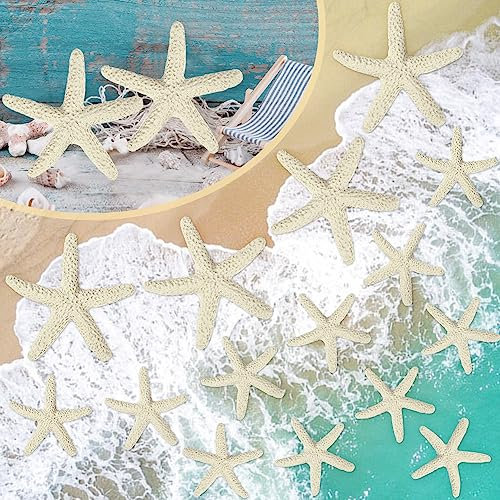 skytowards 15 Stück Seestern Deko Finger Starfish Beige Seestern Aquarium Kunstharz Bleistift Starfish Dekoration Mini Seesterne Flatback Hängende Dekorative Ornamente für Hochzeit Dekor