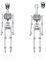 DAYLINLOVE Schädel Skelett Ohrringe 925 Sterling Silber Punk Halloween Dangle Ohrringe Party Schmuck für Frauen