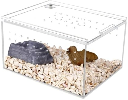 AMYSTY Terrarium Schnecken Terrarium-Zuchtbox for Kleine, Am Boden Lebende Reptilien Springspinne Terrarium(40x30x15cm)