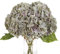Jim's Cabin Künstliche Blumen, Hortensien-Arrangements aus Seide mit 5 großen Köpfen, Kunstblumenstrauß für Zuhause, Hochzeit, Party, Dekoration, DIY (Mintgrün)