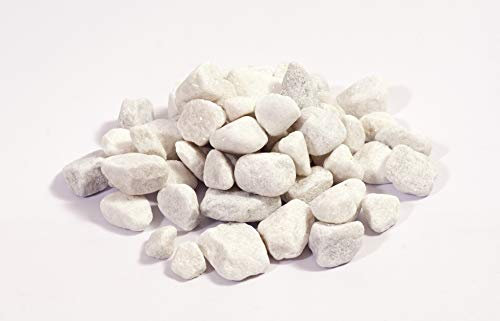 NWN Marmorkies | 30 KG | 15-25 MM | weiß | Dekosteine | Zierkies (2X 15 KG)