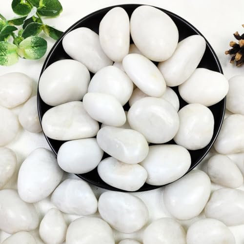 YISZM 5lbs White River Rocks, 1-2 Inch Natural Pebbles for Indoor Plants, High Polished Decorative Stones Vase Filler Fish Tank Aquariums Landscaping Garden Outdoor and Indoor DIY