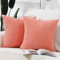 Madizz 2er Set Boho Gestreifte Kissenbezüge Weicher Kord Dekorativer Kissenbezug für Schlafzimmer Sofa Kissenhülle Koralle 40 x 40 cm