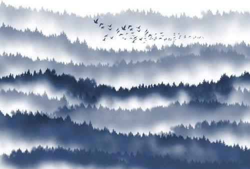 gdkldfg Papier Peint Panoramique 200x140cm Brume de forêt Oiseaux Nature Noir Blanc Bleu Poster Mural Tapisserie Murales Soie Intissé Decoration Murale Chambre