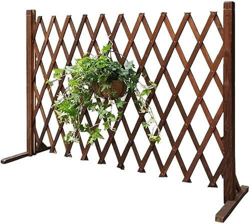 ELzEy Zaun/Teleskop-Holzzaun/Gitterzaun aus Holz/Gartenspalier, dekorativer Zaun/Haustierzaun/Absperrtür (50 x 120 cm)