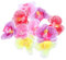 Cabilock 10 Stück Simulierte Hibiskus Mittelstücke Köpfe Hawaii Hibiskusblüten Künstliche Mini Blumenköpfe Künstliche Blumen Eva Blumenkopf Bunt