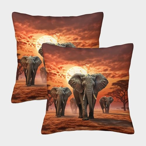 ENYISIYULO Deko Kissenbezug Sundown Elefant 2er Set Kissenhülle Dekorative Weiche Amazing Elefant Wohnzimmer Zierkissen Für Couch Stuhl Bett Garten Balkon 45x45cm