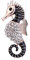 Ogquaton Broche en forme d'hippocampe de qualité supérieure avec strass pour femme