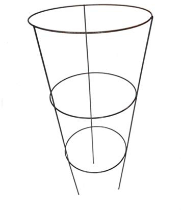 Konische Pflanzenstützen für große Stauden, ideal für Pfingstrosen, Rittersporn und orientalische Mohnblumen, stabile Gartenstützpfähle, 10 Stück