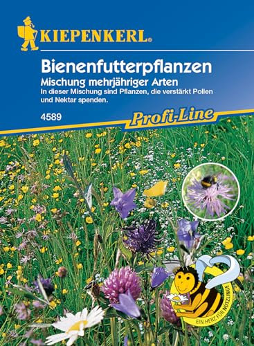 Kiepenkerl Profi-Line Blumensamen Mischung Bienenfutterpflanzen mehrjährig, 4589 – Bienenwiese Saatgut, Wiesenblumensamen, Blumenwiese, winterhart, Nahrungsquelle für Nützlinge