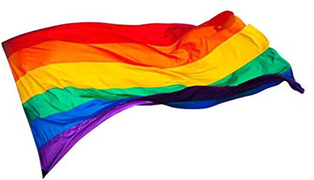 rongweiwang 90x150cm LGBT Bandiera Lesbiche Gay Pride Friendly colorato Bandiera Lesbiche Gay Pride Rainbow Flag Omosessuale casa Accessori Decorativi