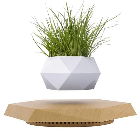 Pot de fleurs en lévitation magnétique – Pot flottant pour plantes grasses et cactus – Décoration unique pour la maison et le bureau – Affichage magnétique blanc pour plantes d'intérieur