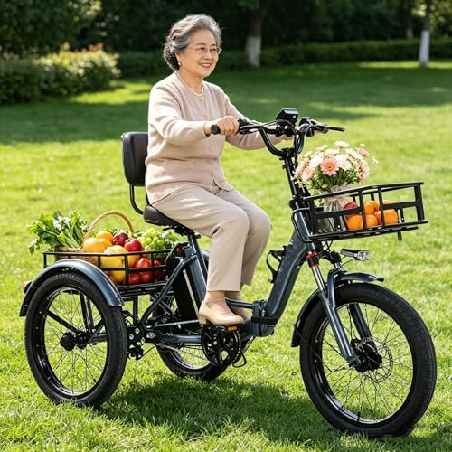 LISTaRSw 20 Inch 3 Wheel Electric Cargo Bike for Adults | - 5 Speeds | with Storage Basket Wide Tires | for Adults Foldable | Easy to Climb | Load Capacity 200 kg Grey