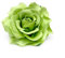 Wisafory 10 Stück Künstliche Blumenköpfe Rosen Blütenköpfe RosenKöpfe Kunst Blumen Rosen Köpfe Kunstblumen Rosen Seidenblumen Dekoration für Hochzeit Party DIY Basteln 11 cm Grün