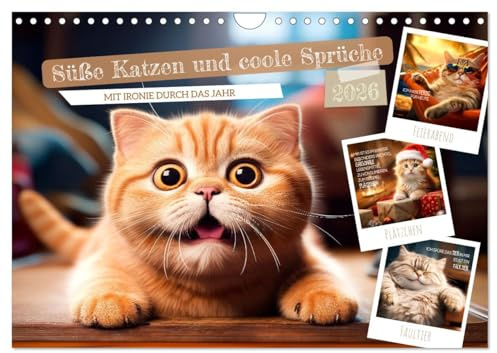 Süße Katzen und coole Sprüche (Wandkalender 2026 DIN A4 quer), CALVENDO Monatskalender: Mit Ironie durch das Jahr (CALVENDO Spass)