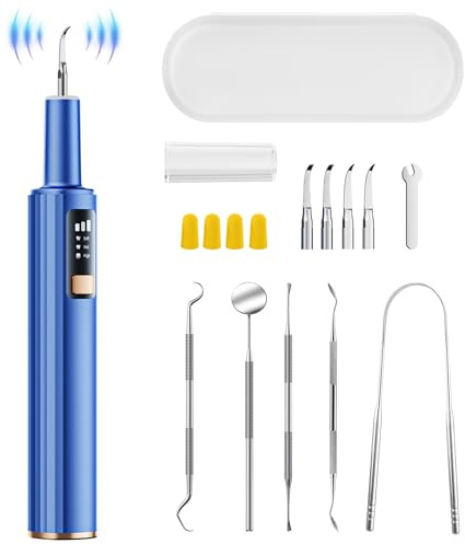 Ultrasonic Plaque Remover for Teeth with Smart Gum Protection - 42kHz Professional Tartar Remover, 10-Piece Kit (4 Heads + 6 Dentist Tools), LED Light, USB-C Rechargeable, IPX6 Waterproof for Home Use