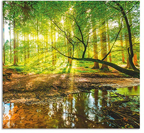 ARTland Spritzschutz Küchenrückwand aus Alu für Küche Herd Spüle 65x70 cm (BxH) mit Motiv Natur Landschaft Wald Bäume Sonne Bach Landhaus Grün T9IO