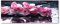 Tulup Glas-Bild Wandbild aus Glas - Wandkunst - Wandbild hinter gehärtetem Sicherheitsglas - Dekorative Wand für Küche & Wohnzimmer 125x50 - Blumen & Pflanzen - Rosa Orchidee - Rosa