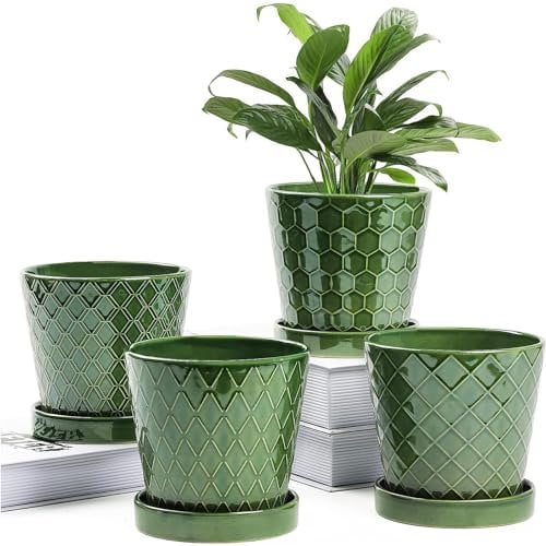 Buymax Lot de 4 Pots de Fleurs d'intérieur en céramique de 12,7 cm avec Trou de Drainage et Plateau en céramique – Jardinage, Maison, Bureau, décoration de Rebord de fenêtre, Cadeau – Plantes Non