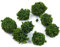Tiardey 40 Pcs Bush Trees Miniature Vegetation Groups Shrubs Railway Artificial Grass for Model Train Sand Table Gaming Terrain