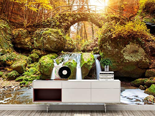Oedim Fotomural Vinilo para Pared Cascada en Bosque | Mural | Fotomural Vinilo Decorativo |150 x 100 cm | Decoración comedores, Salones, Habitaciones