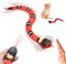 Pipihome Spielzeugschlange Katze, USB Aufladung Smart Sensing Schlangen Spielzeug, Interaktives Katzenspielzeug Elektrisch Schlange, Schlange Spielzeug für Katzen Streich, Interaktive Spielzeug