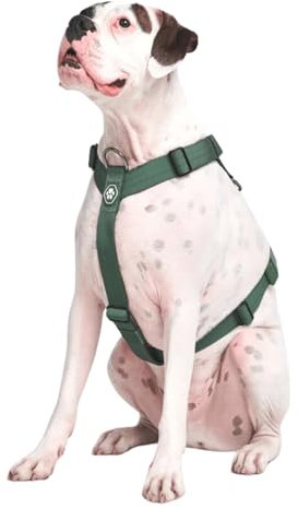 Spark Paws No Pull Hundegeschirr Grosse Hunde, Halterdesign mit Frontclip, Y Geschirr Hund, Robust und Strapazierfähig Harness für Große und Starke Rassen - Green, M