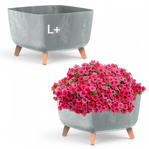 MELTOM Blumentopf mit Füßen Eckig 38 x 38 cm H 27 cm Beton Grau | Quadratische Schale auf 4 Standbeinen in Holzoptik · fester Zwischenboden · ohne Abflussloch · 25 Liter · Innen & Außen